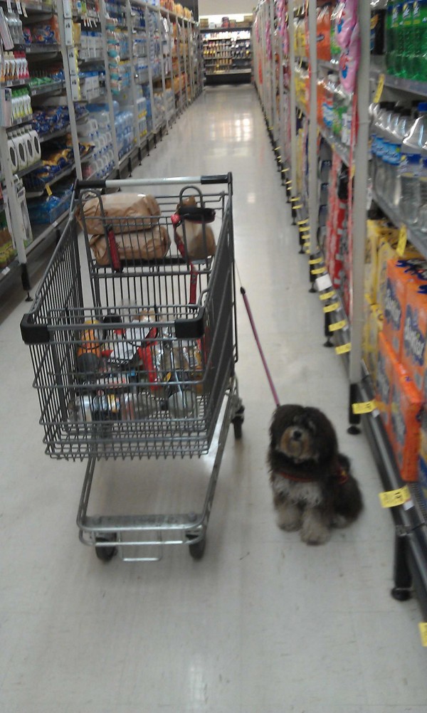 Kari in supermarket