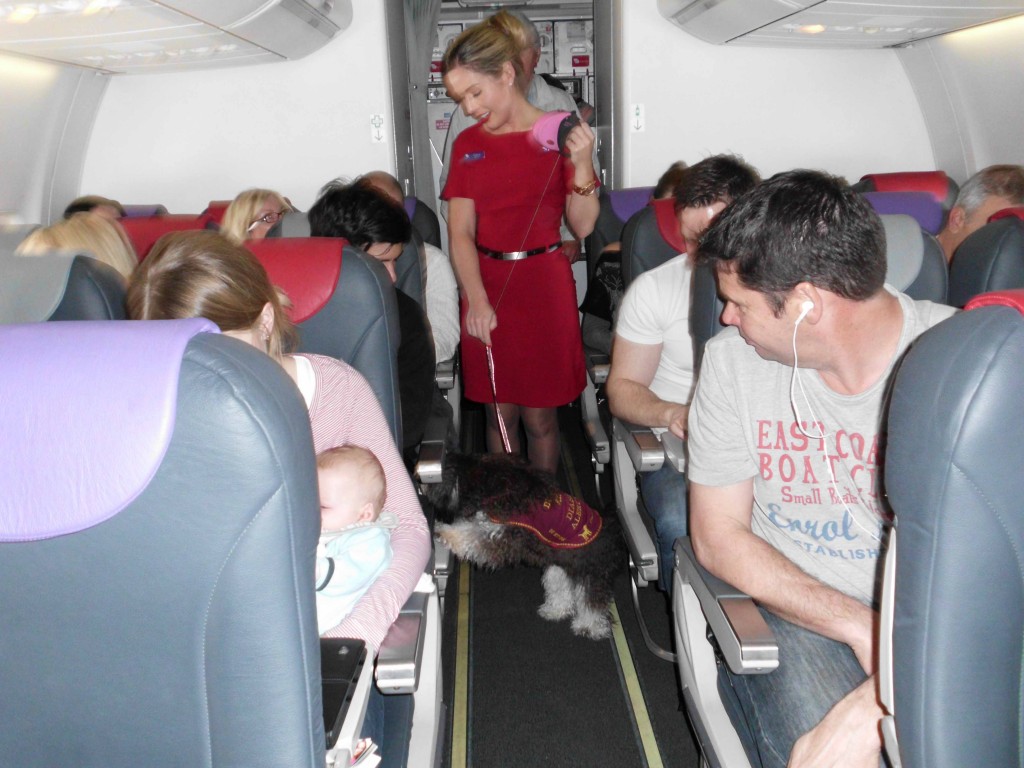 Kari on Virgin flight