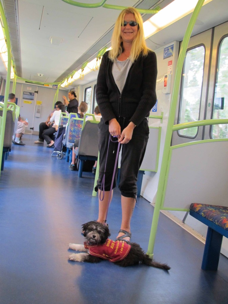 kari on the train