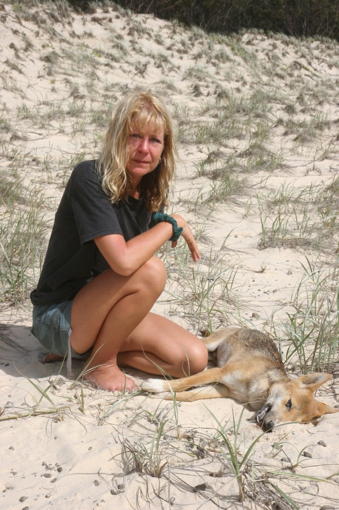 The sad death of a dingo pup
